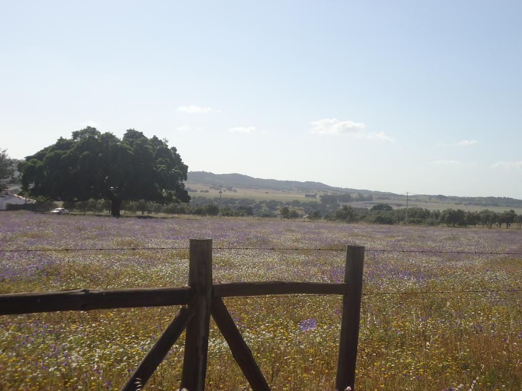 Herdade Dos Montes Bastos Santa Luzia  Eksteriør billede